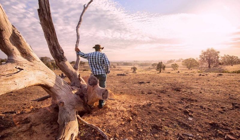 farmer man standing